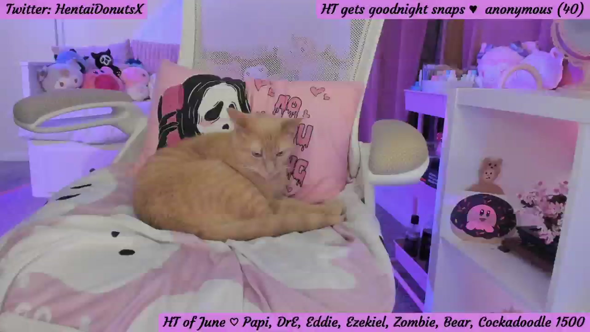 Gallery image thumbnail from HentaiDonuts's myfreecams stream on, 06/14/2024, 05:24 image 11 of 20