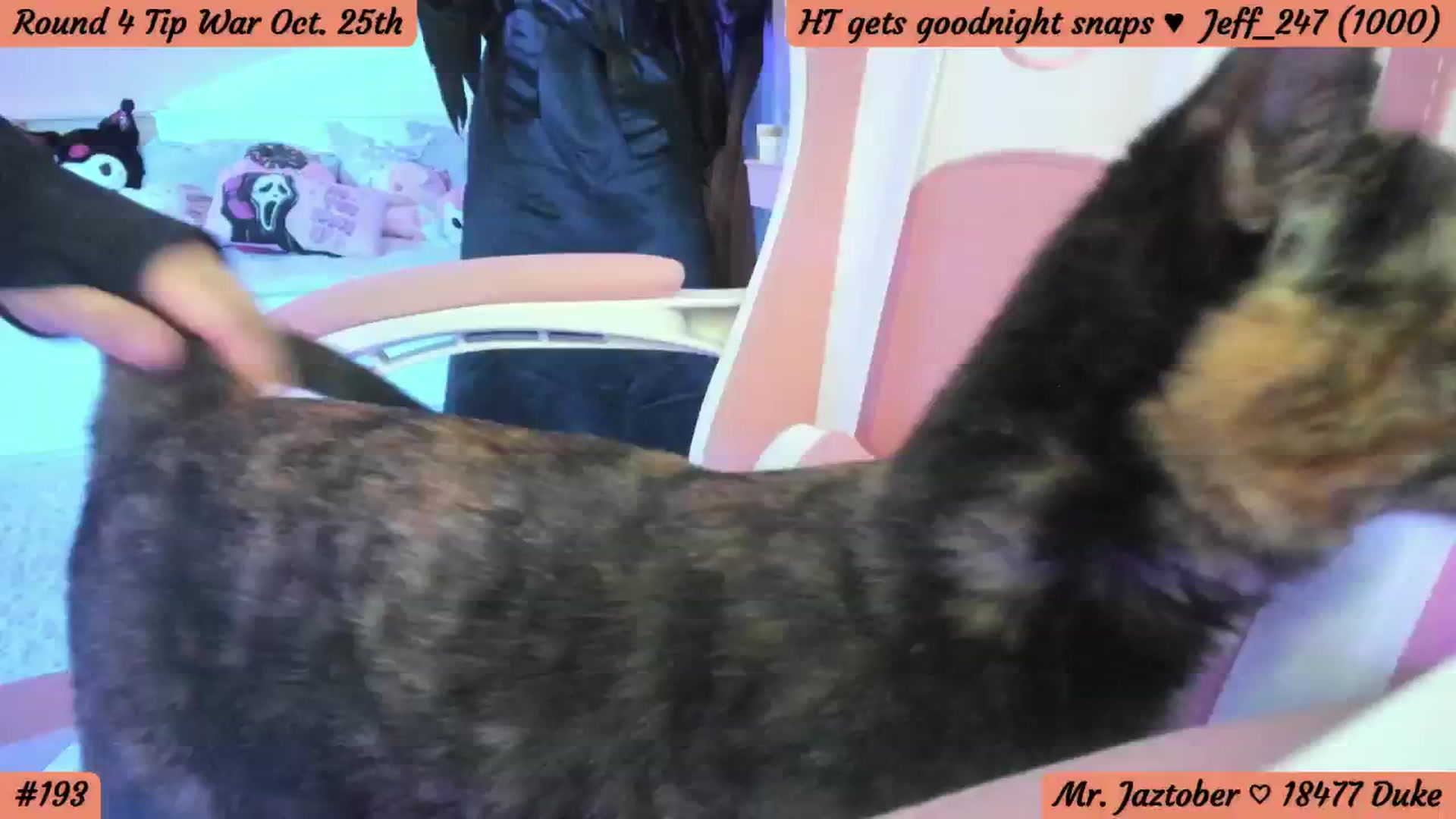 Gallery image thumbnail from HentaiDonuts's myfreecams stream on, 10/23/2024, 05:30 image 11 of 20