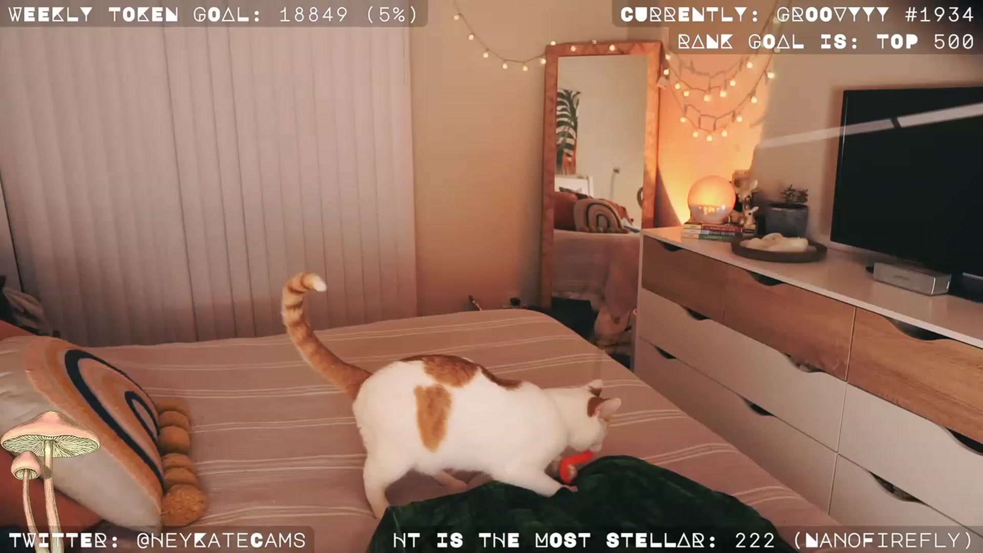 Gallery image thumbnail from HeyKate's myfreecams stream on, 12/03/2022, 08:13 image 10 of 20
