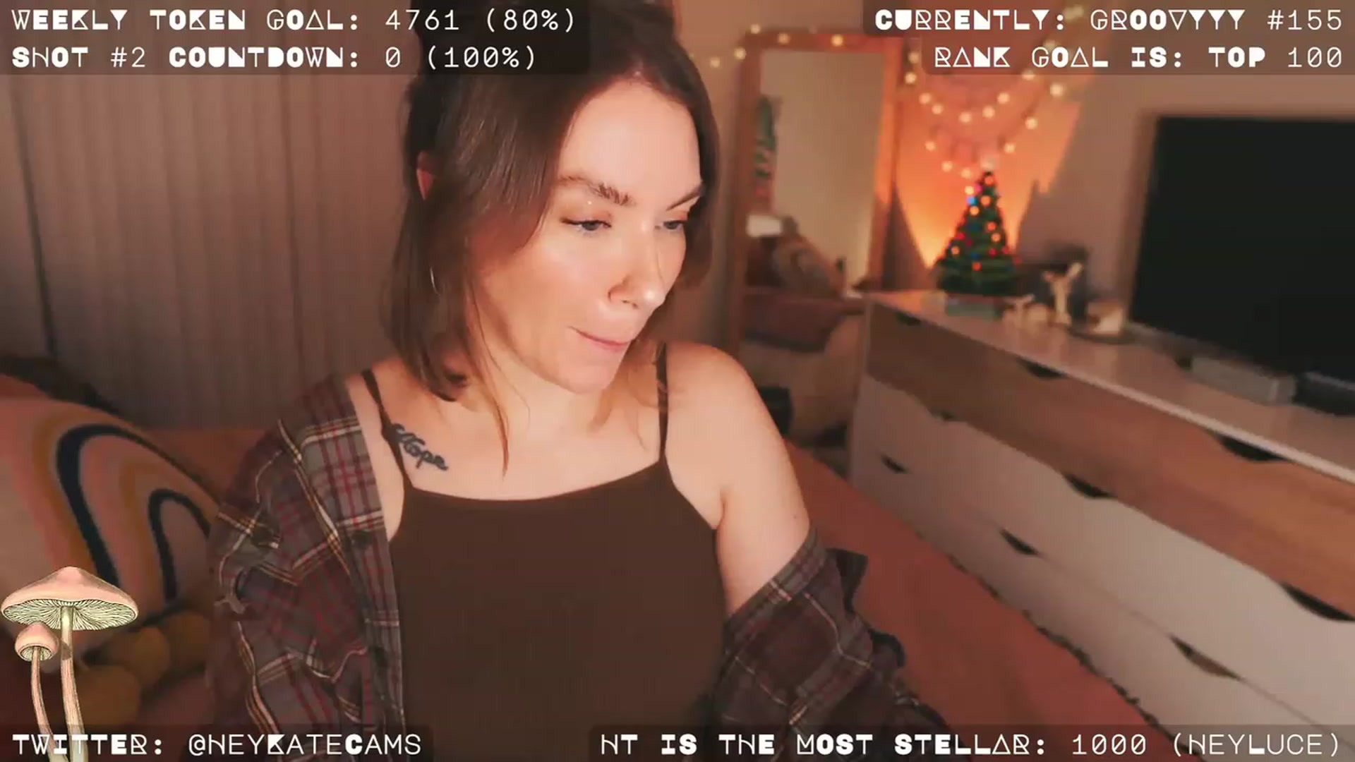 Gallery image thumbnail from HeyKate's myfreecams stream on, 12/25/2022, 05:29 image 18 of 20