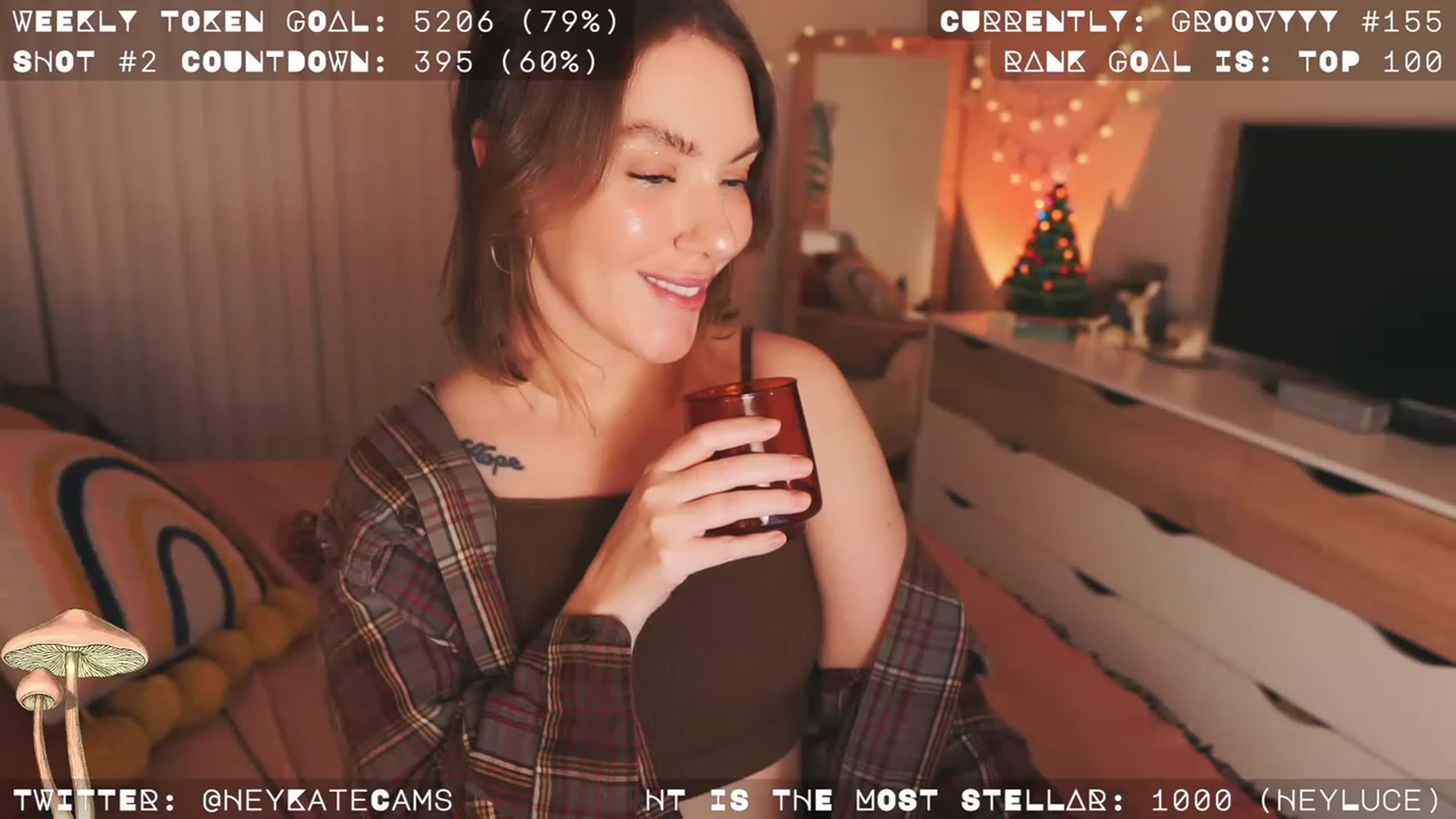 Gallery image thumbnail from HeyKate's myfreecams stream on, 12/25/2022, 05:29 image 15 of 20