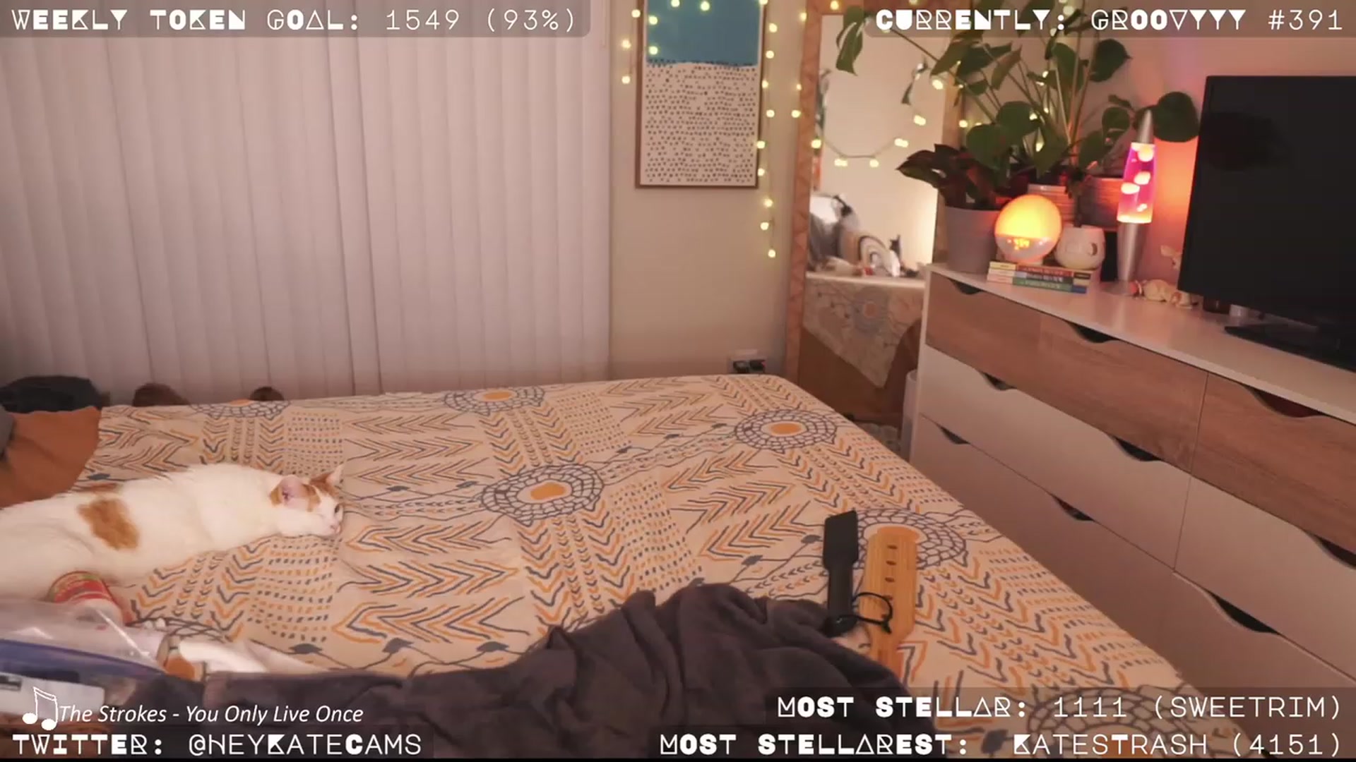 Gallery image thumbnail from HeyKate's myfreecams stream on, 04/30/2023, 12:28 image 17 of 20