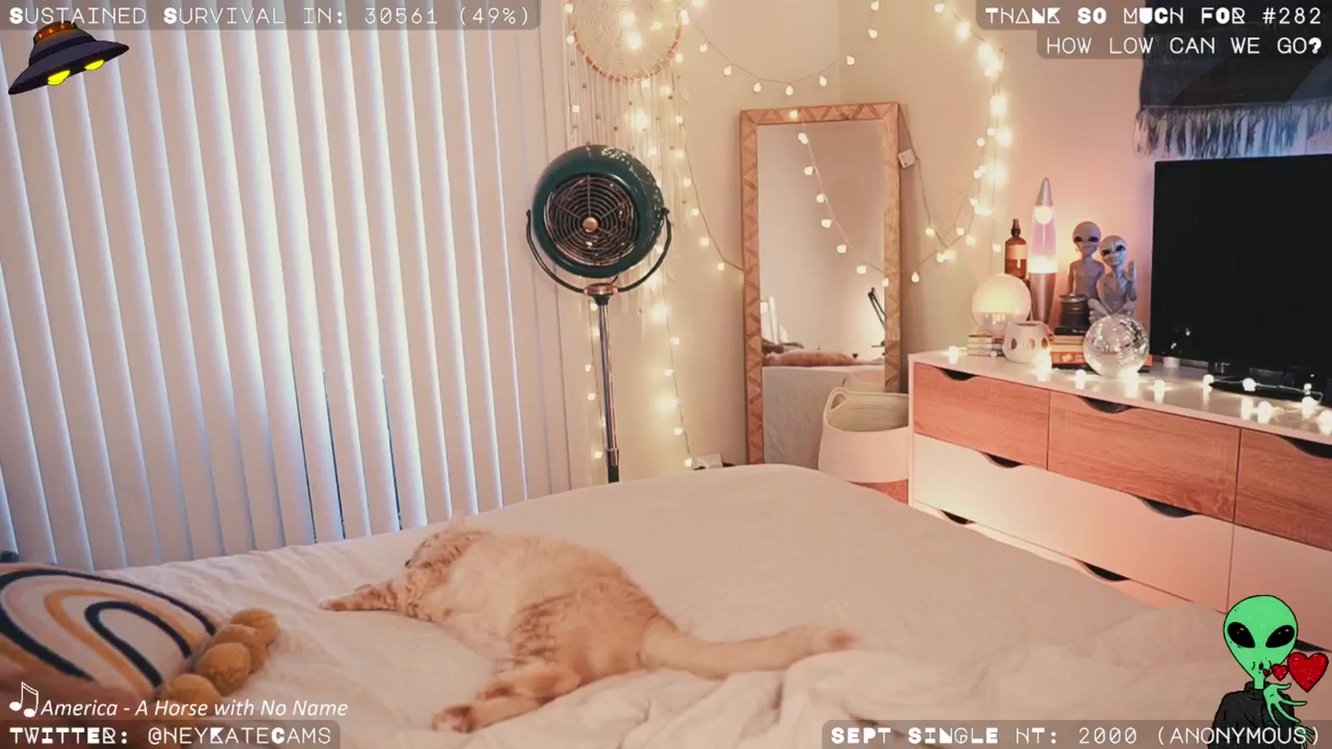 Gallery image thumbnail from HeyKate's myfreecams stream on, 09/08/2024, 04:06 image 5 of 20