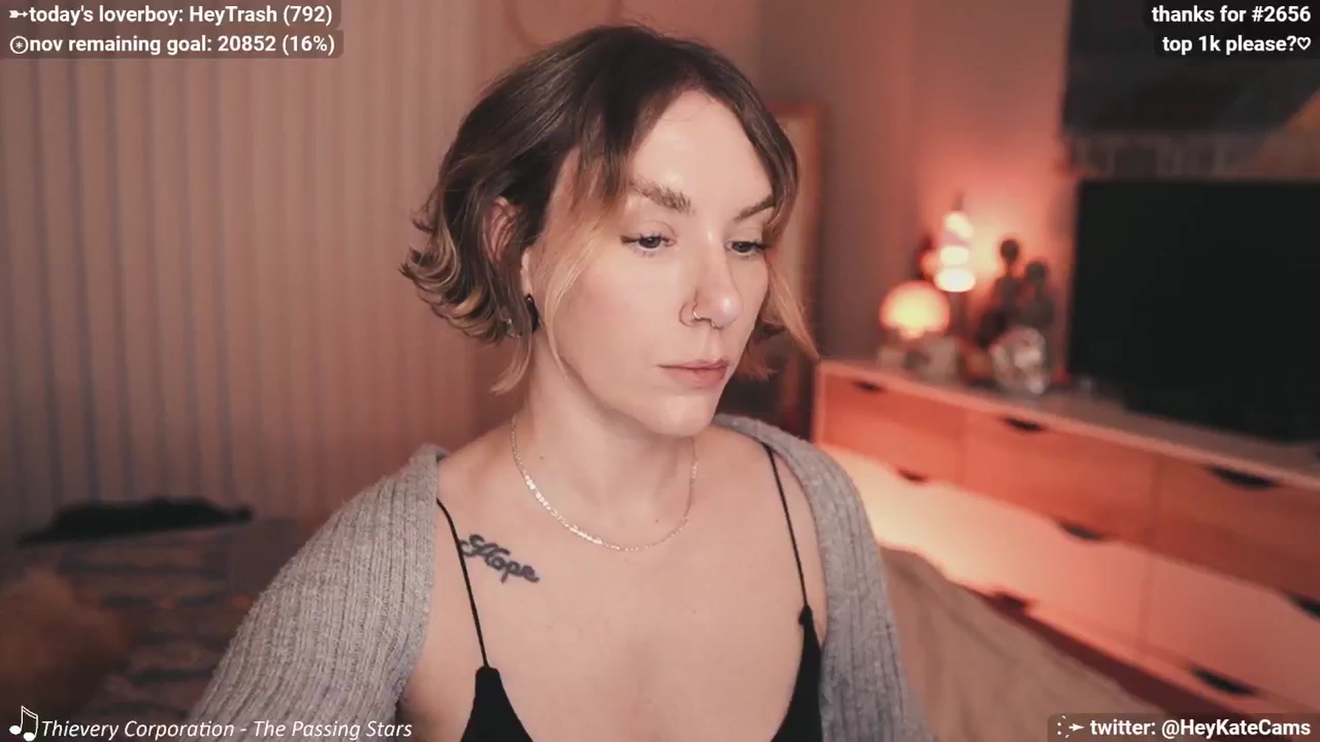 Gallery image thumbnail from HeyKate's myfreecams stream on, 11/26/2024, 01:33 image 16 of 20