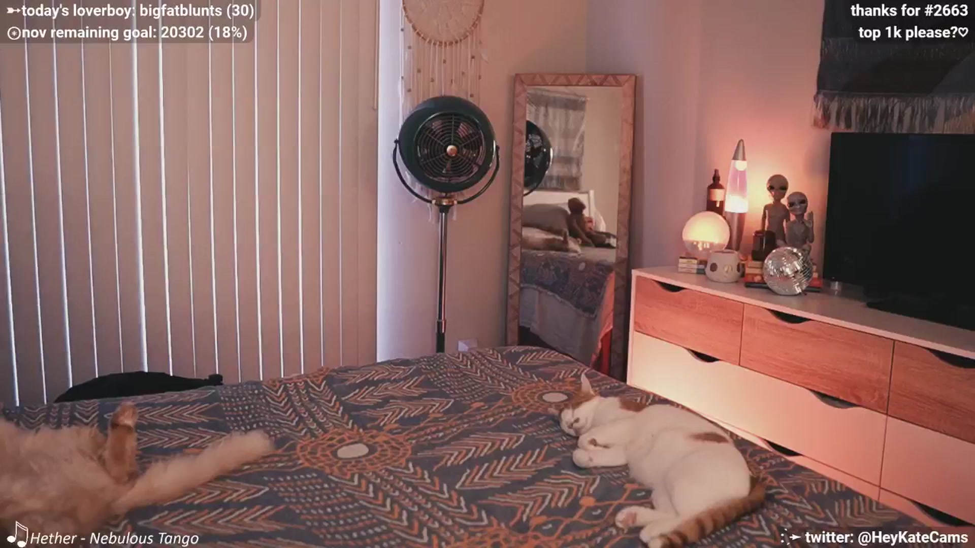 Gallery image thumbnail from HeyKate's myfreecams stream on, 11/26/2024, 23:11 image 6 of 20