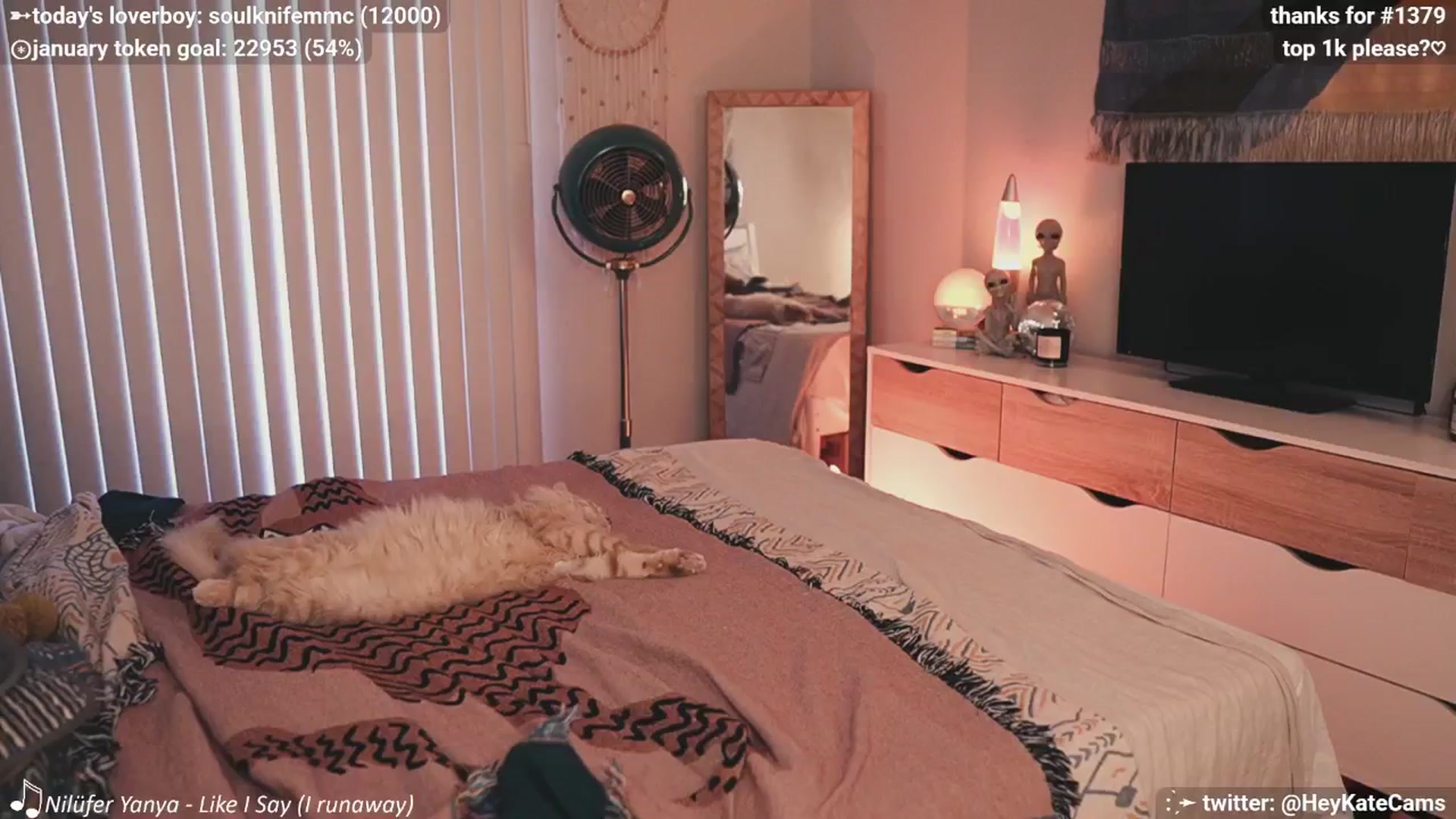 Gallery image thumbnail from HeyKate's myfreecams stream on, 01/23/2025, 02:27 image 4 of 20