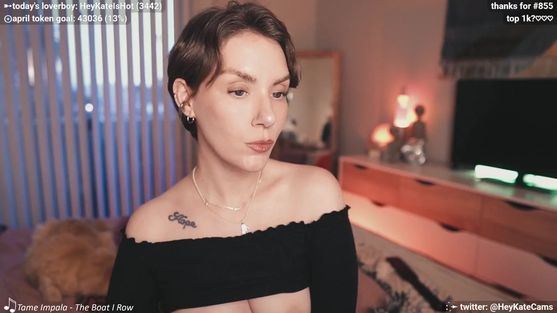 Gallery image thumbnail from HeyKate's myfreecams stream on, 04/05/2025, 02:46 image 17 of 20