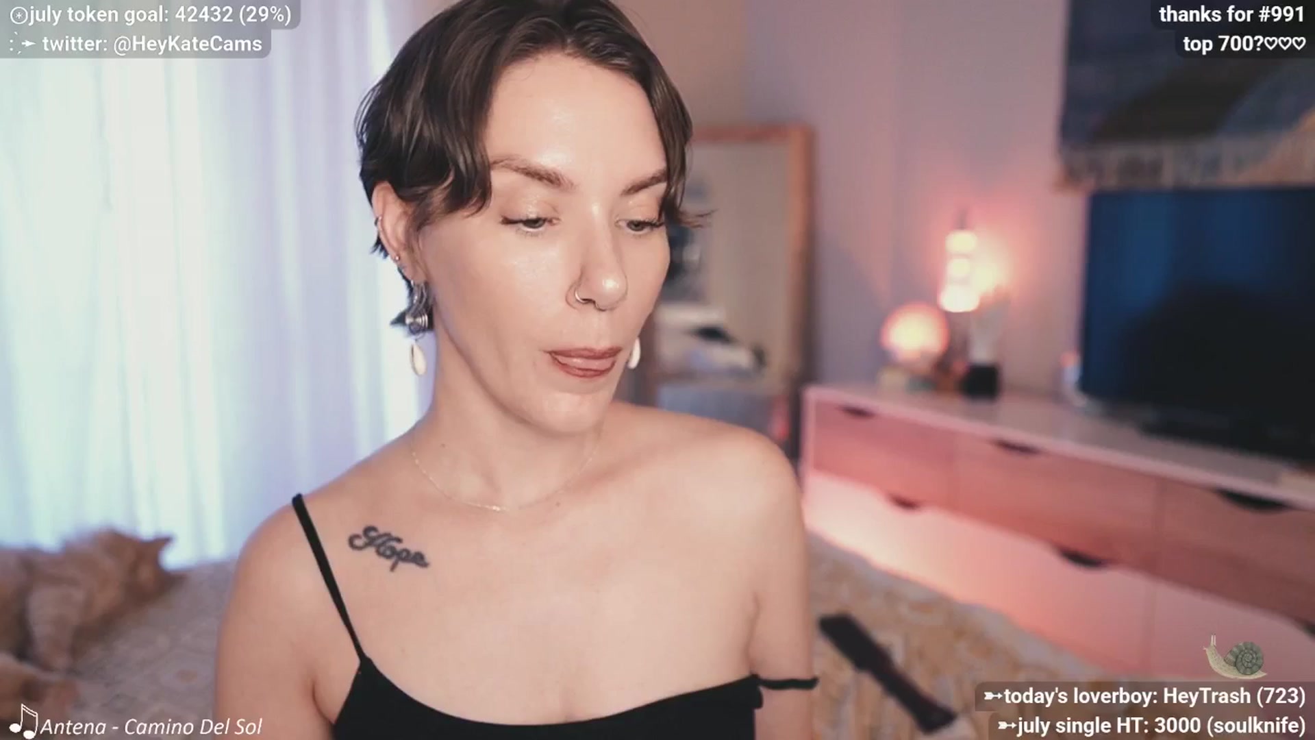 Gallery image thumbnail from HeyKate's myfreecams stream on, 07/12/2025, 03:34 image 5 of 20