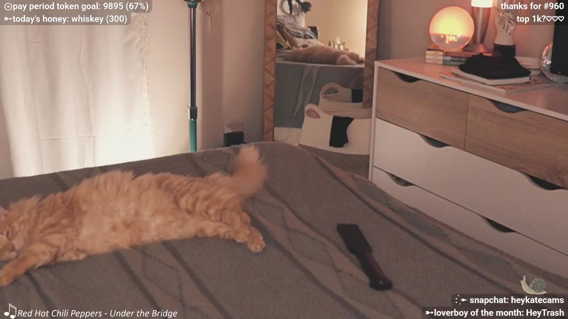 Gallery image thumbnail from HeyKate's myfreecams stream on, 12/26/2025, 03:59 image 7 of 20