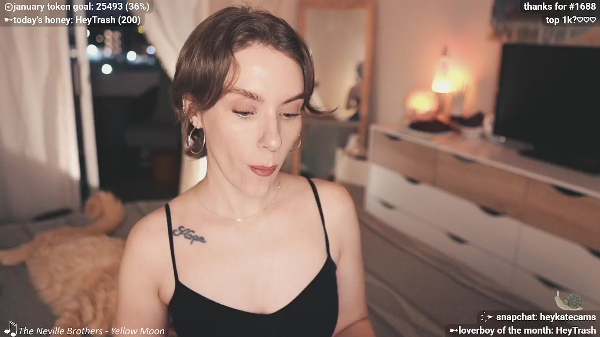 Gallery image thumbnail from HeyKate's myfreecams stream on, 01/17/2026, 04:11 image 1 of 20
