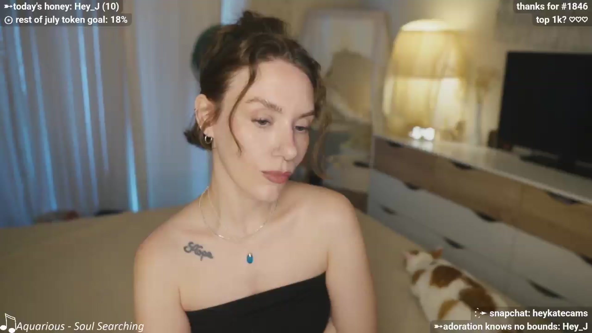 Gallery image thumbnail from HeyKate's myfreecams stream on, 07/28/2026, 03:04 image 9 of 20