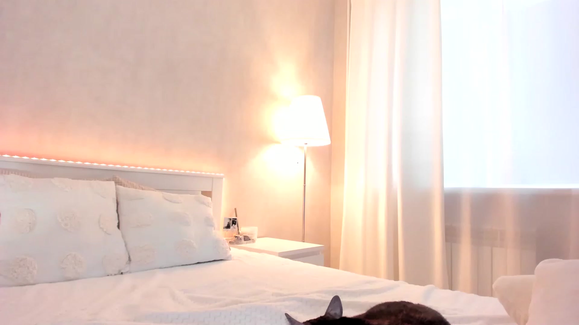 Gallery image thumbnail from HeyRose's myfreecams stream on, 04/07/2023, 10:10 image 13 of 20