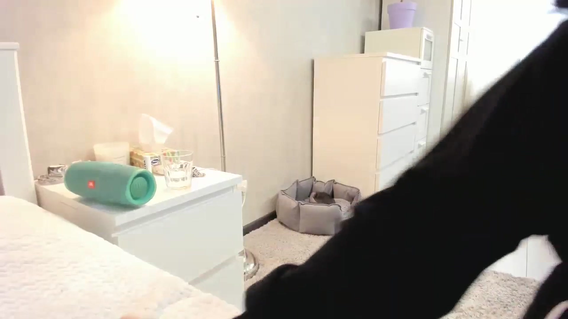 Gallery image thumbnail from HeyRose's myfreecams stream on, 10/18/2023, 05:57 image 18 of 20