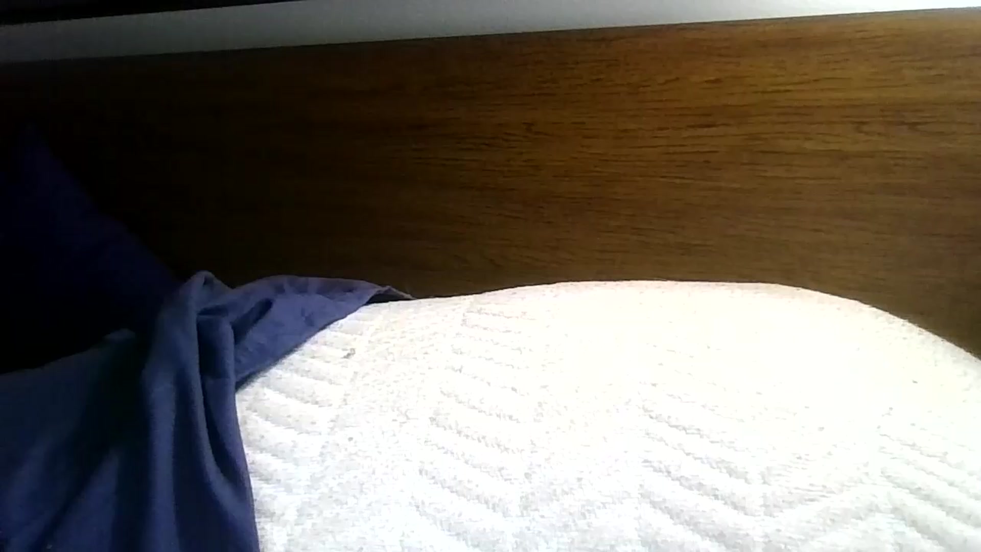 Gallery image thumbnail from Heyitskatie89's myfreecams stream on, 09/28/2026, 16:55 image 10 of 20