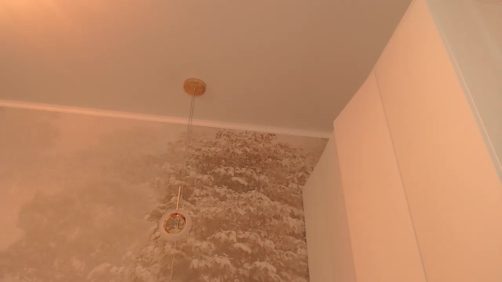 Gallery image thumbnail from Hiaru_Cutie's myfreecams stream on, 12/11/2024, 10:04 image 6 of 20
