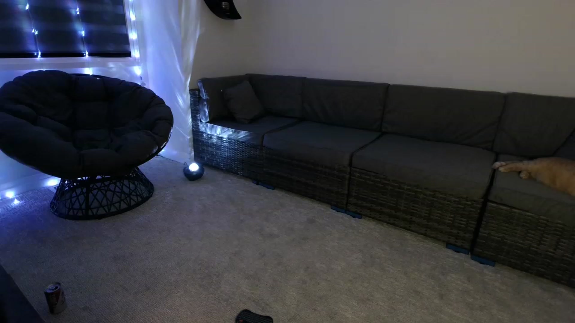 Gallery image thumbnail from HippyBabee's myfreecams stream on, 11/15/2022, 02:13 image 4 of 20