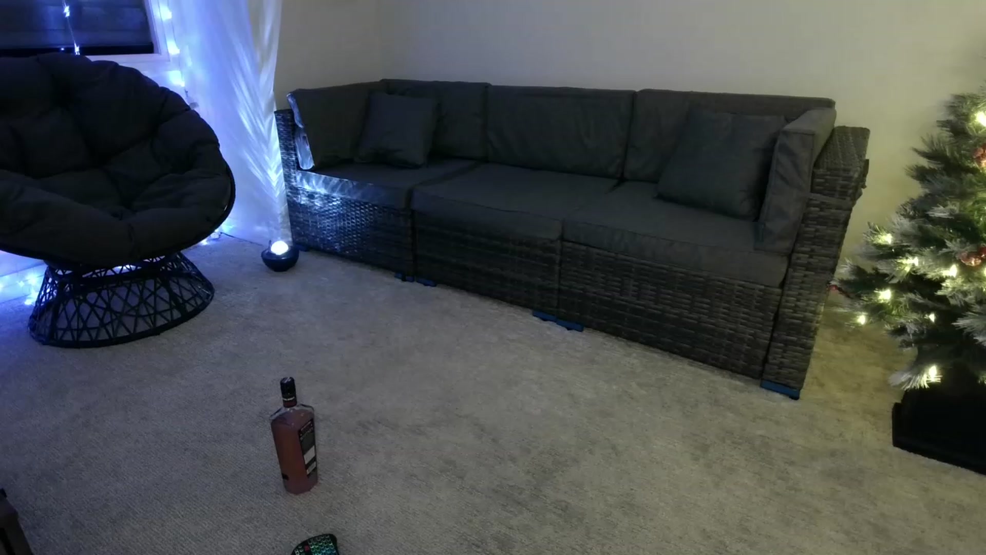 Gallery image thumbnail from HippyBabee's myfreecams stream on, 12/02/2022, 03:22 image 3 of 20