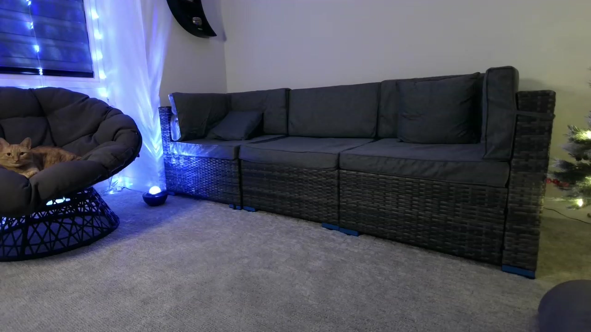 Gallery image thumbnail from HippyBabee's myfreecams stream on, 12/06/2022, 04:31 image 7 of 20