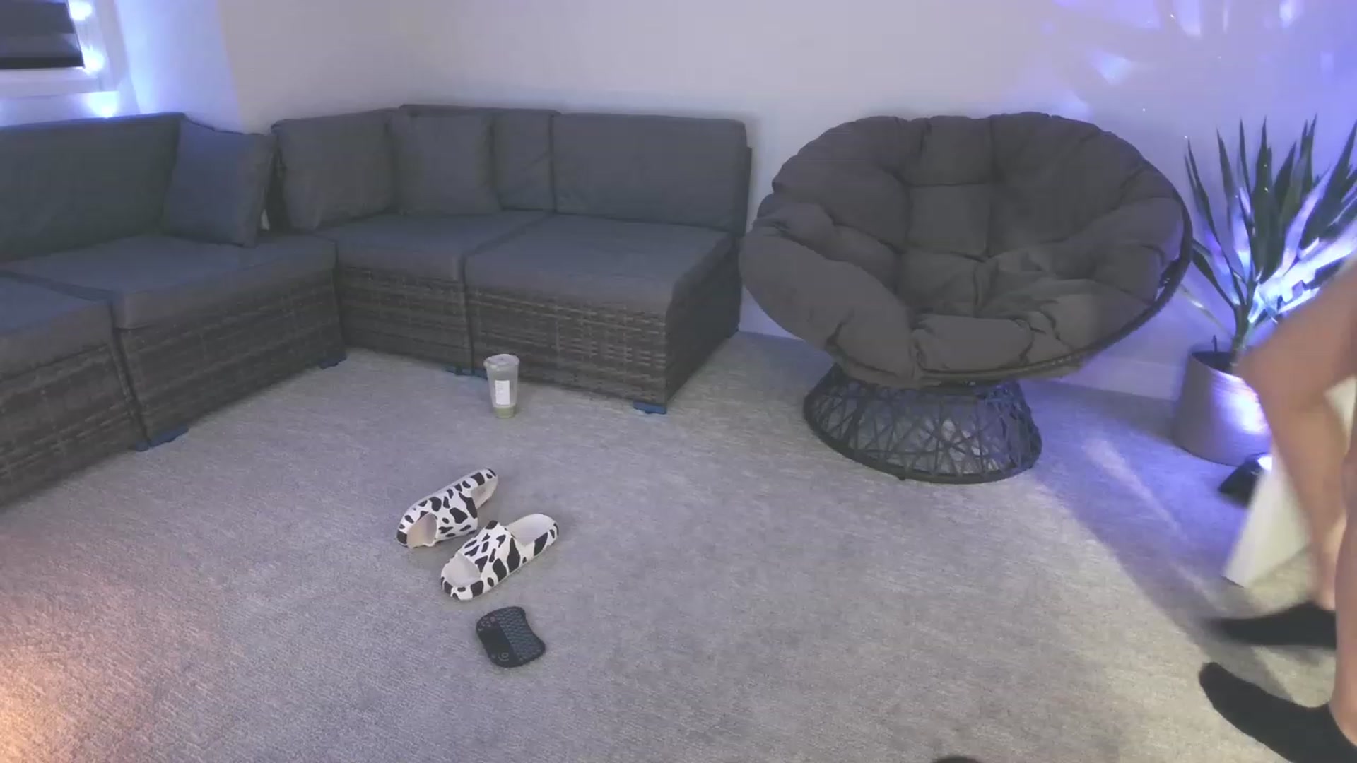 Gallery image thumbnail from HippyBabee's myfreecams stream on, 02/21/2023, 03:43 image 15 of 20