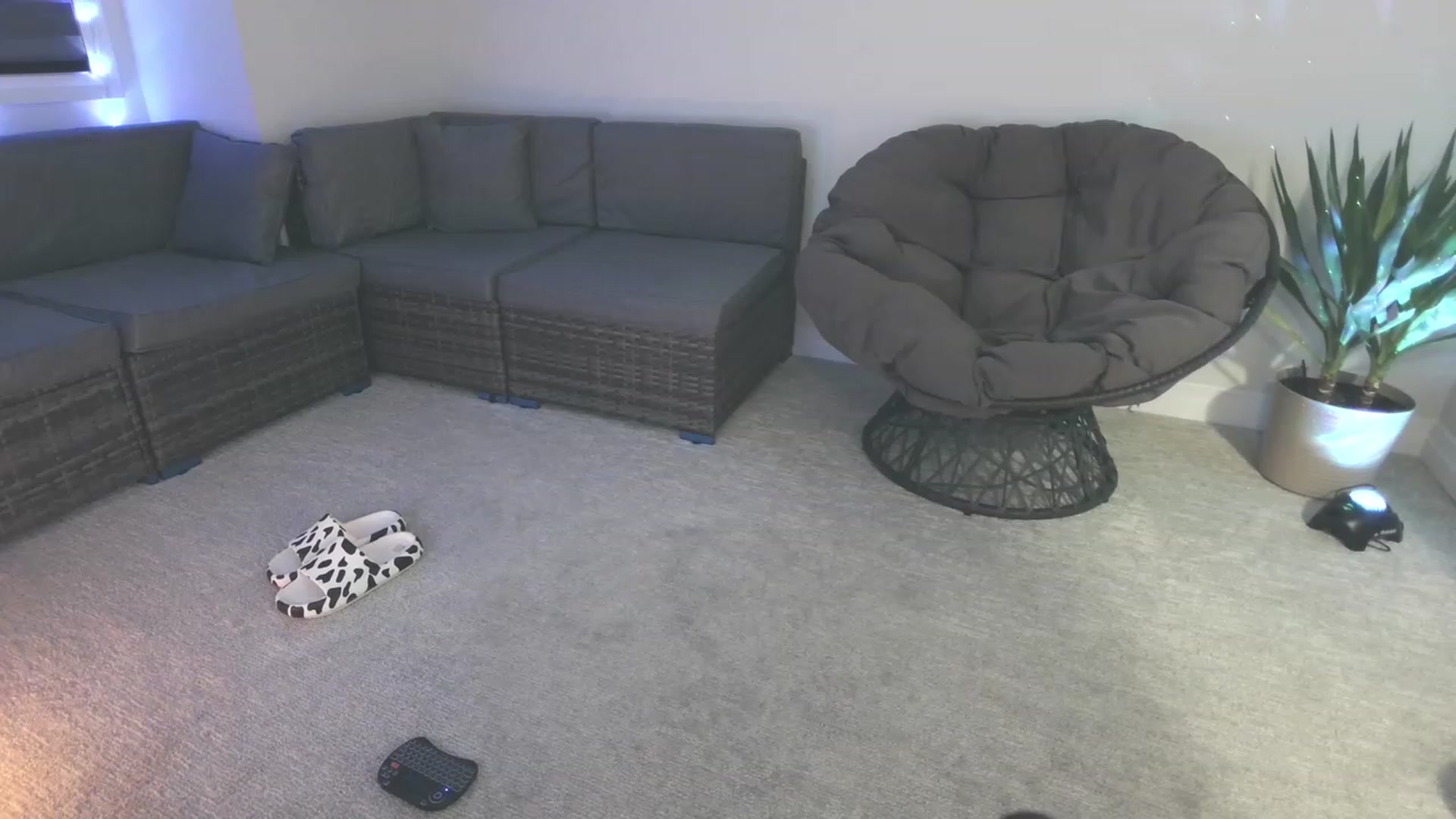 Gallery image thumbnail from HippyBabee's myfreecams stream on, 02/21/2023, 03:43 image 16 of 20