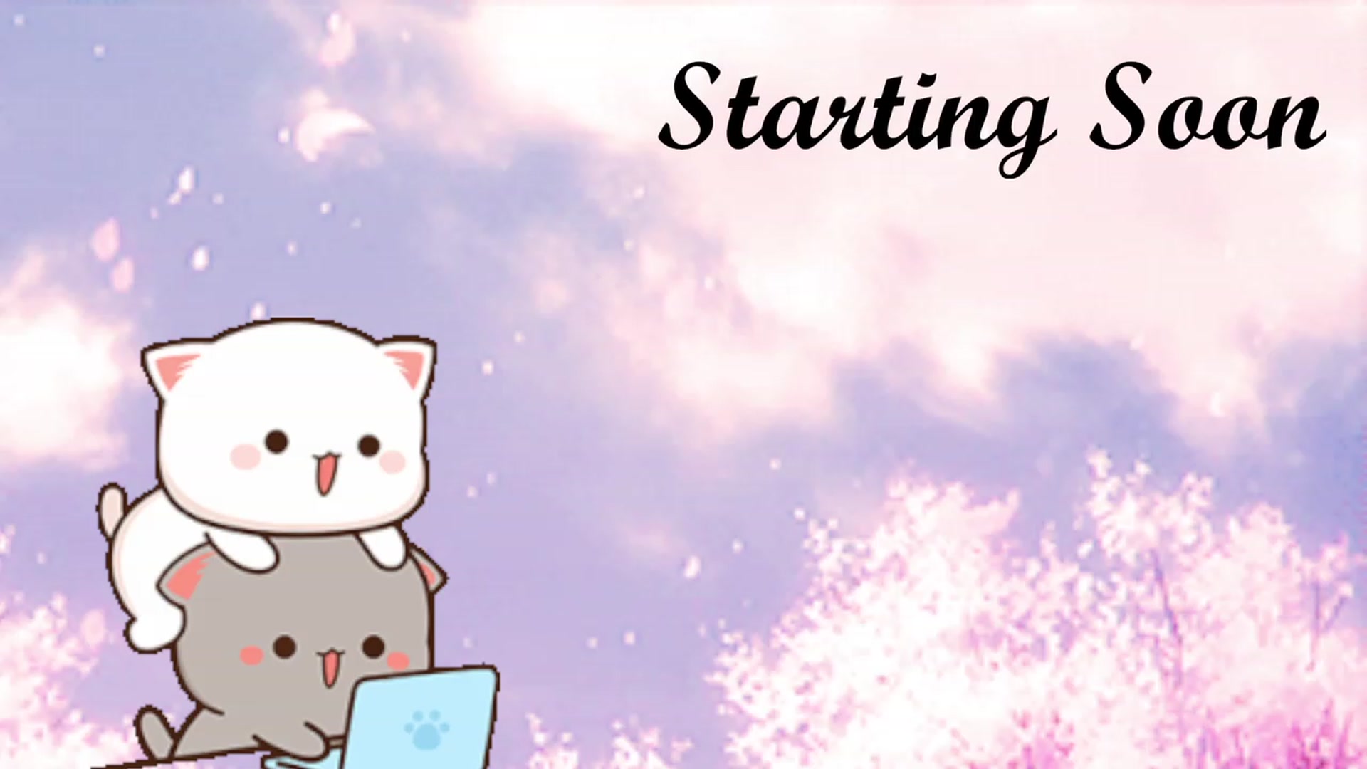 Gallery image thumbnail from HippyBabee's myfreecams stream on, 06/12/2023, 23:27 image 3 of 20