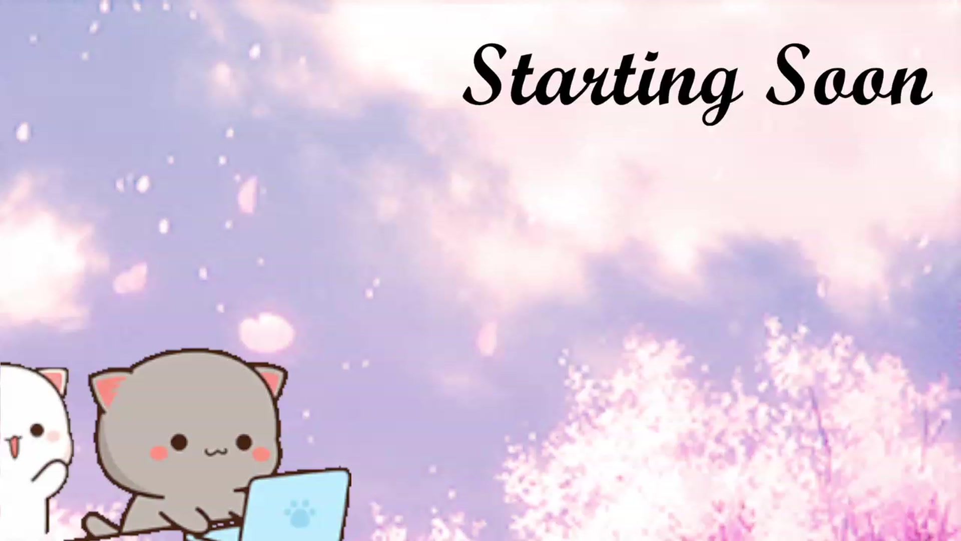 Gallery image thumbnail from HippyBabee's myfreecams stream on, 06/12/2023, 23:27 image 2 of 20