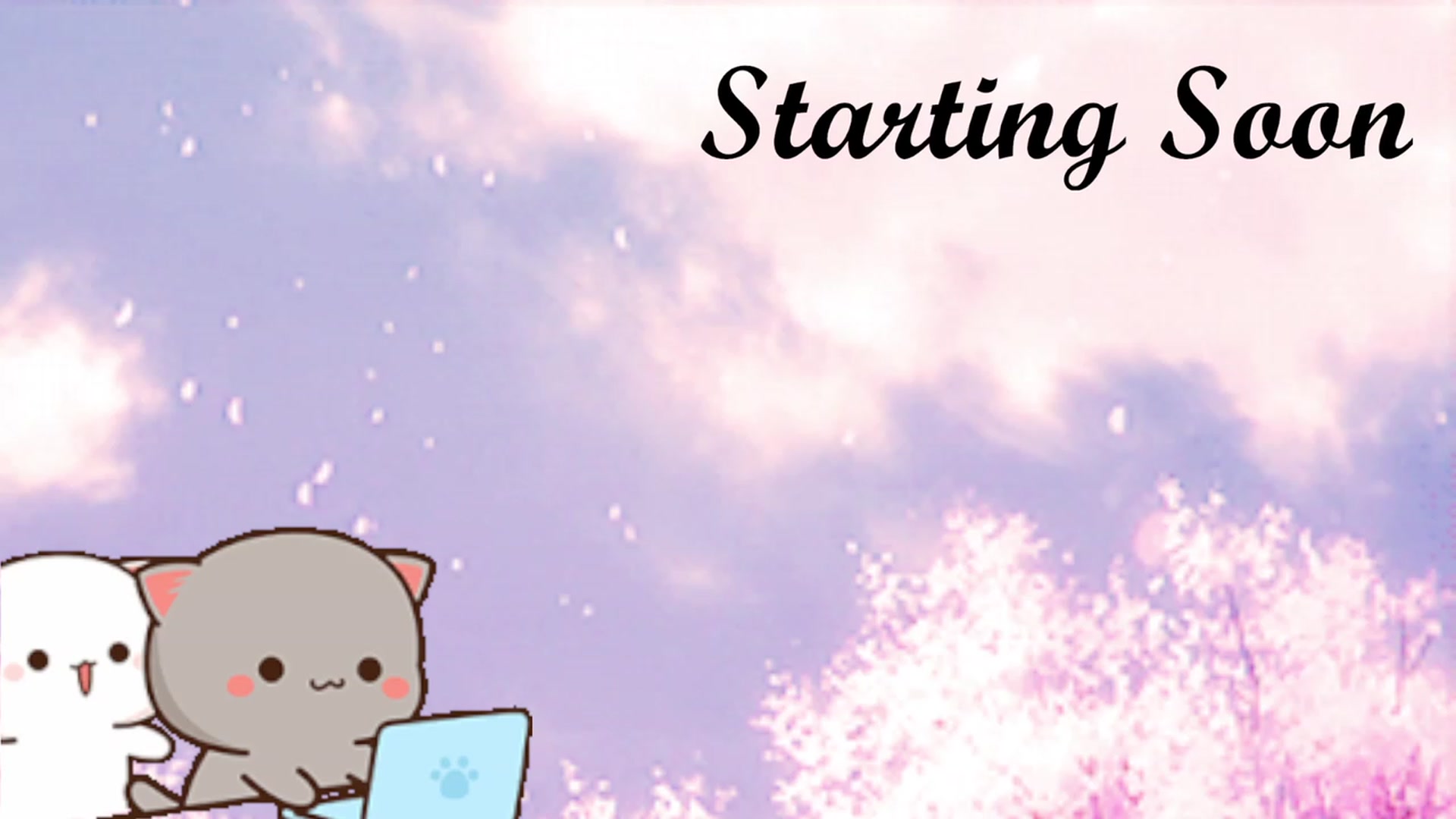 Gallery image thumbnail from HippyBabee's myfreecams stream on, 06/12/2023, 23:27 image 1 of 20