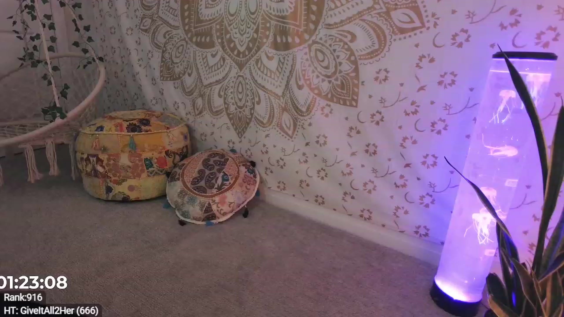 Gallery image thumbnail from HippyBabee's myfreecams stream on, 07/28/2023, 02:54 image 5 of 20