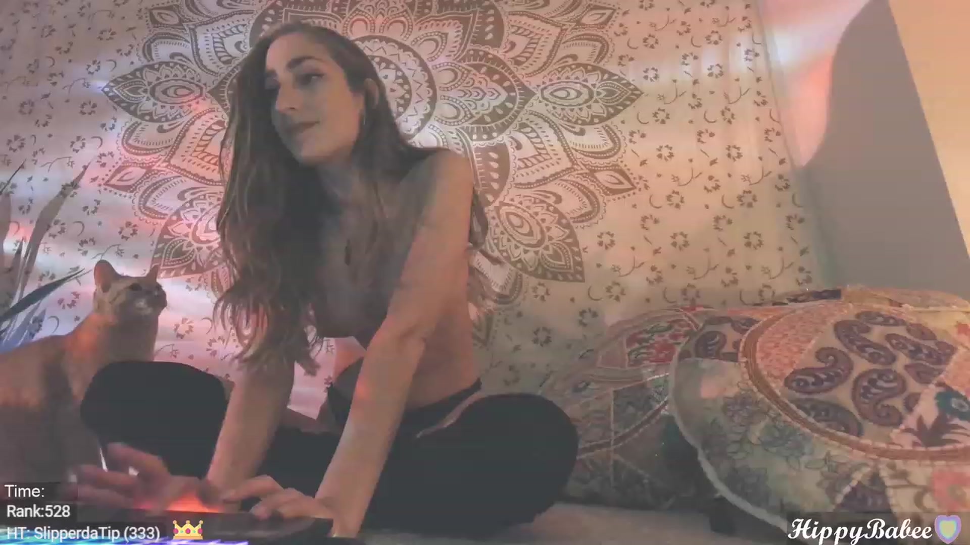 Gallery image thumbnail from HippyBabee's myfreecams stream on, 11/15/2023, 24:56 image 13 of 20