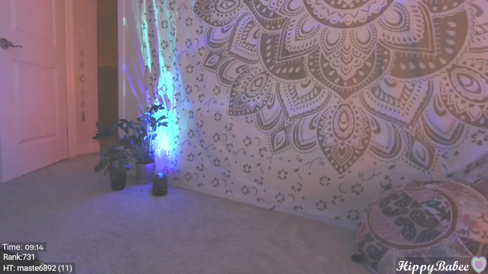 Gallery image thumbnail from HippyBabee's myfreecams stream on, 02/19/2024, 24:48 image 6 of 20