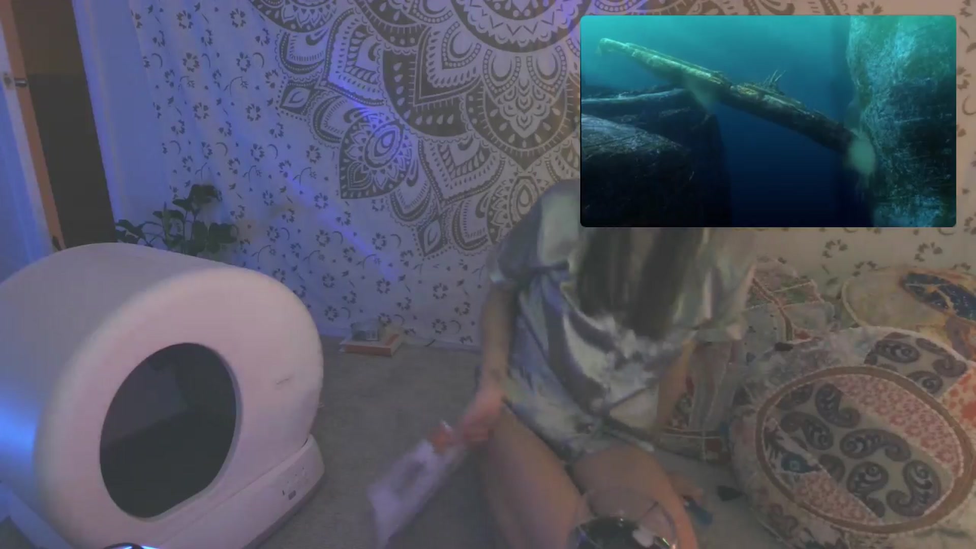 Gallery image thumbnail from HippyBabee's myfreecams stream on, 04/03/2024, 24:45 image 17 of 20