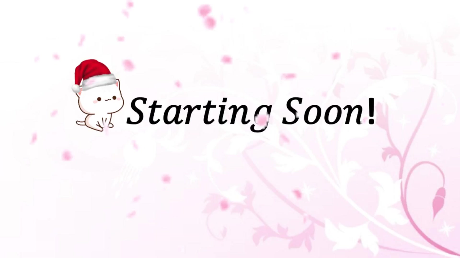 Gallery image thumbnail from HippyBabee's myfreecams stream on, 11/17/2024, 23:15 image 1 of 20