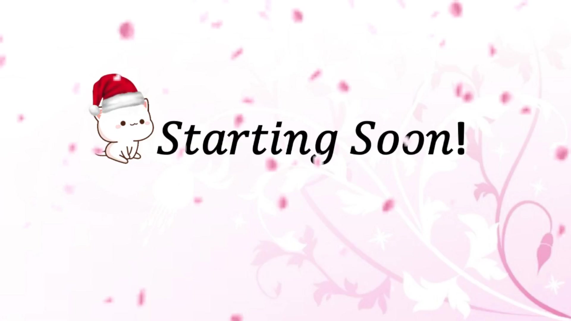 Gallery image thumbnail from HippyBabee's myfreecams stream on, 11/27/2024, 02:12 image 1 of 20
