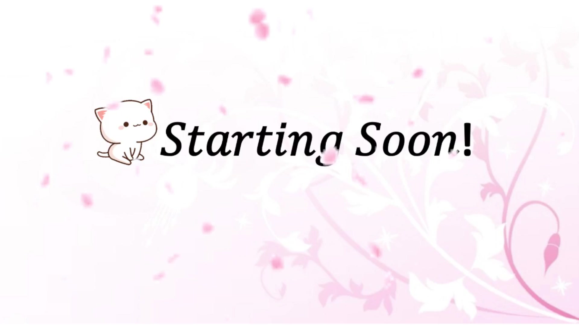 Gallery image thumbnail from HippyBabee's myfreecams stream on, 02/03/2025, 24:59 image 1 of 20