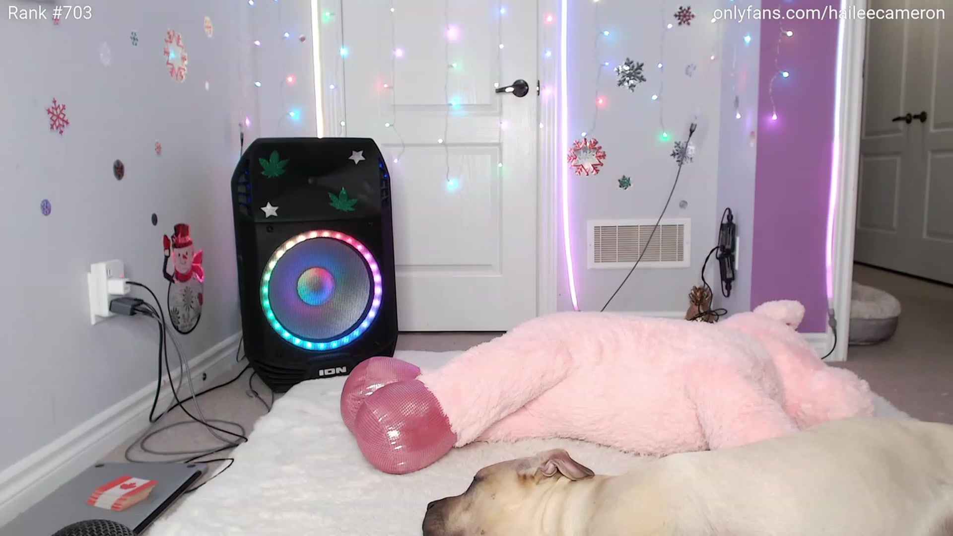 Gallery image thumbnail from HoHoHailee's myfreecams stream on, 12/03/2023, 06:51 image 18 of 20