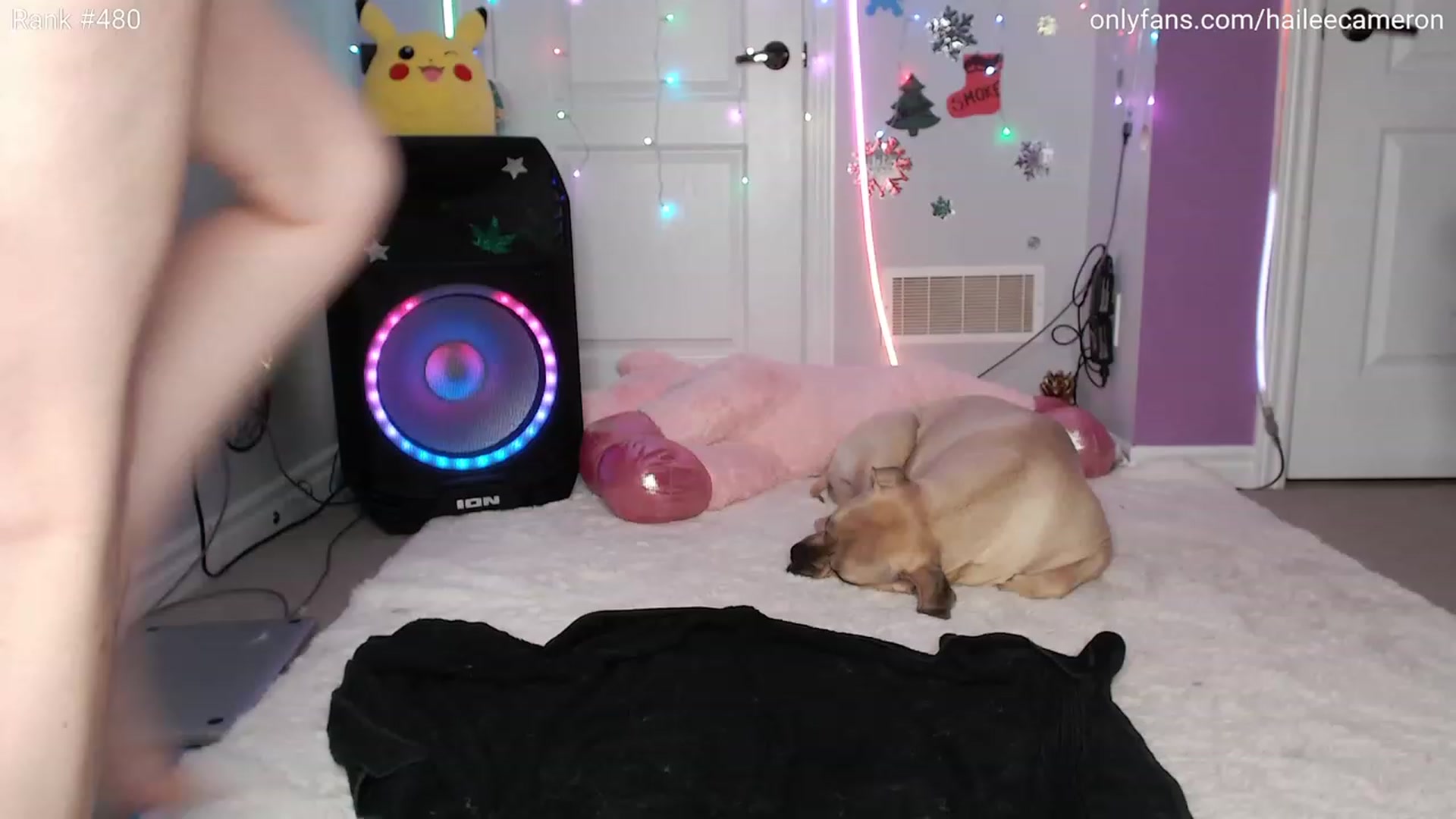 Gallery image thumbnail from HoHoHailee's myfreecams stream on, 12/10/2023, 09:15 image 18 of 20