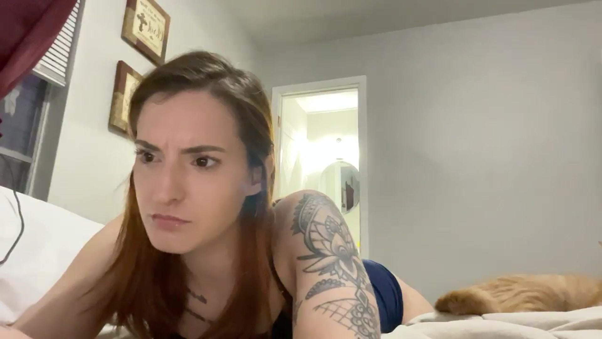 Gallery image thumbnail from Hoelottaass's myfreecams stream on, 11/14/2024, 12:36 image 19 of 20