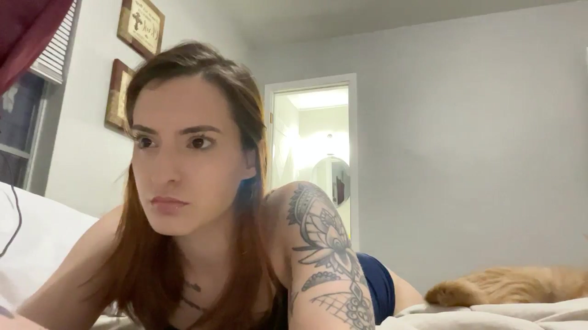 Gallery image thumbnail from Hoelottaass's myfreecams stream on, 11/14/2024, 12:36 image 17 of 20