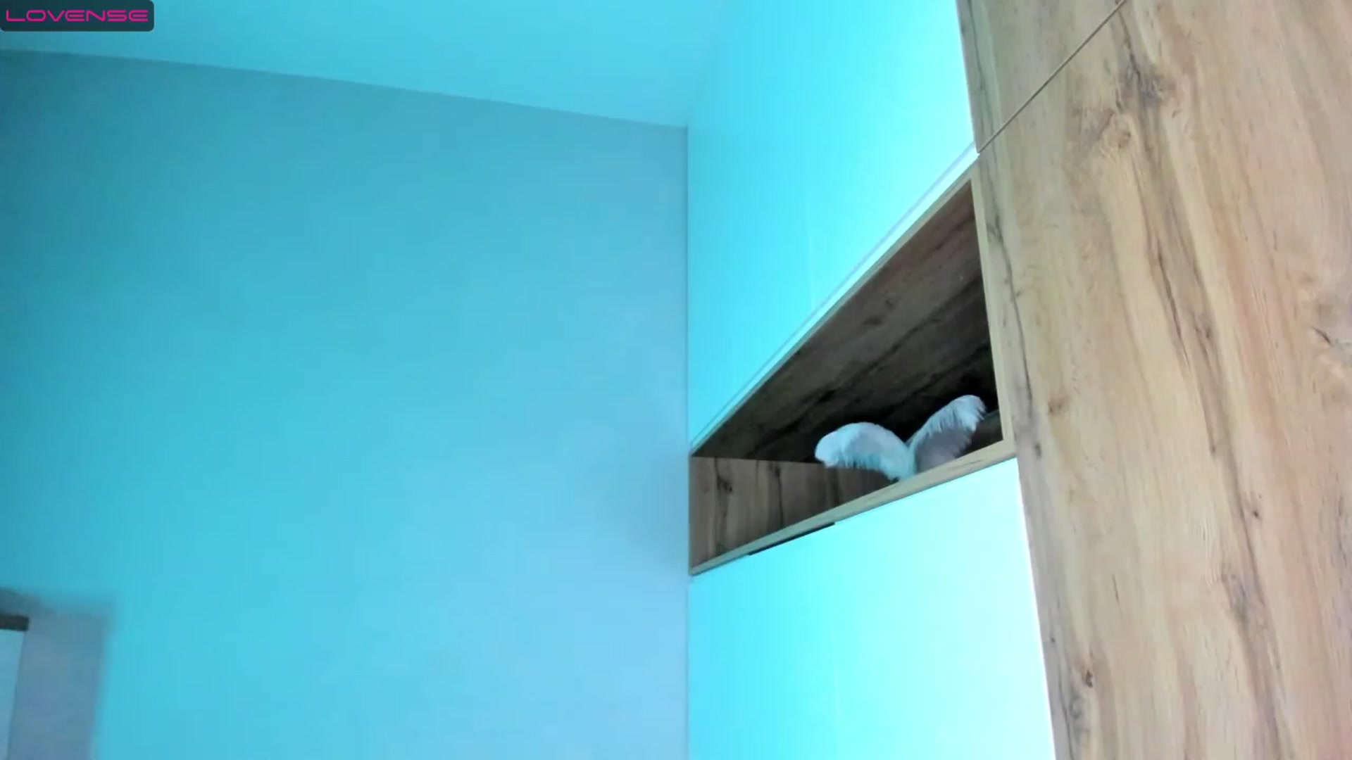 Gallery image thumbnail from HolaKate's myfreecams stream on, 01/28/2023, 24:02 image 7 of 20