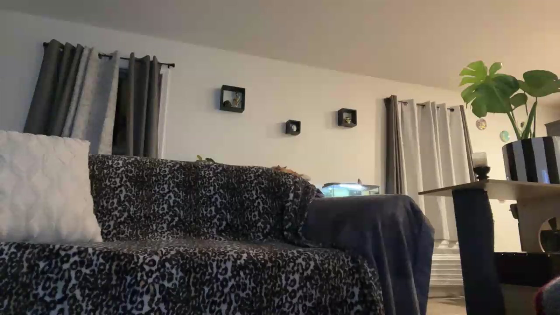 Gallery image thumbnail from HollyDelights's myfreecams stream on, 06/05/2026, 03:36 image 15 of 20
