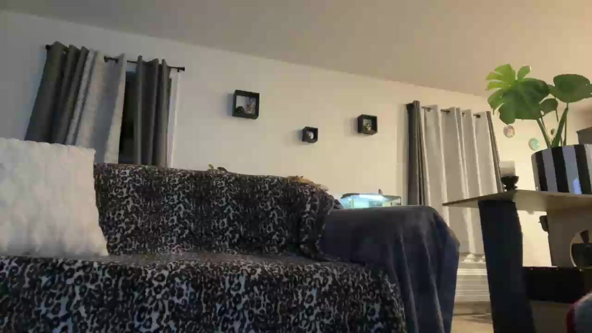Gallery image thumbnail from HollyDelights's myfreecams stream on, 06/05/2026, 03:36 image 14 of 20