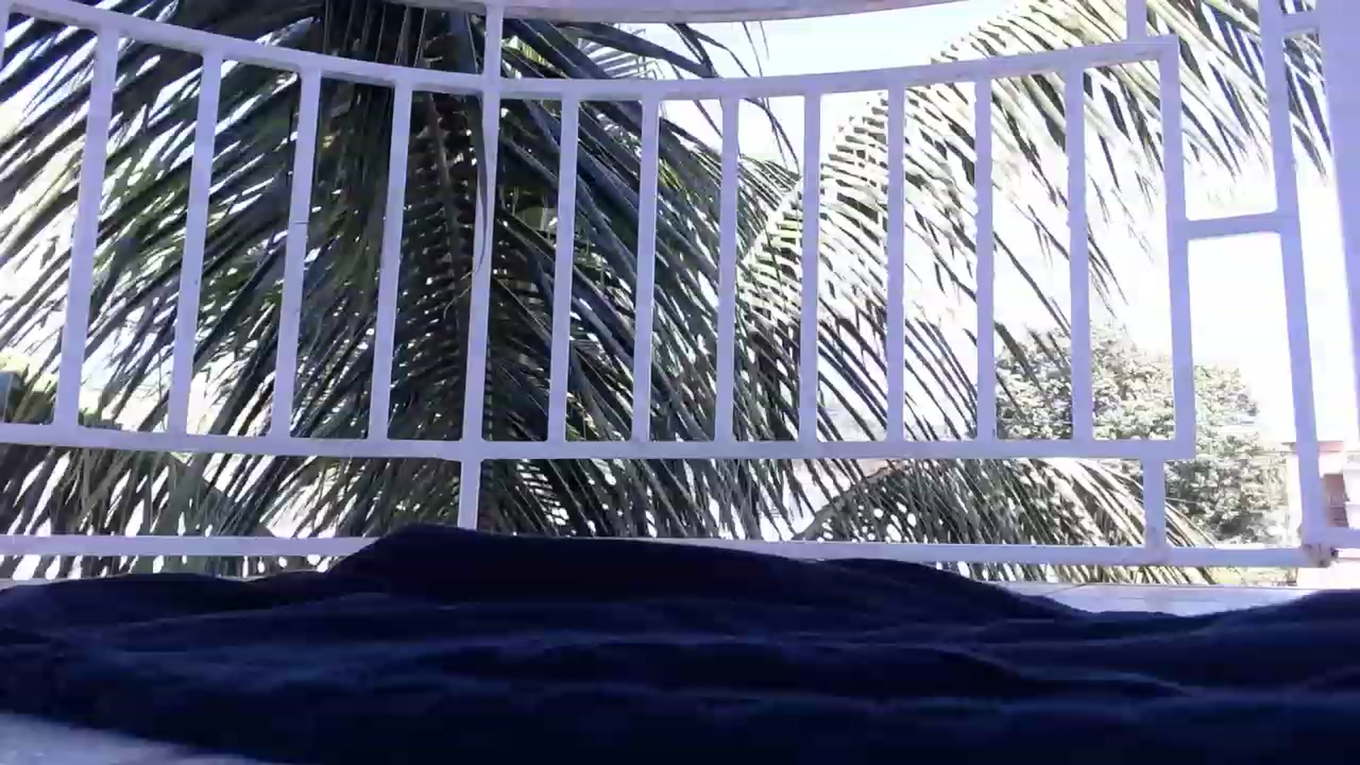 Gallery image thumbnail from HollyHanna's myfreecams stream on, 01/18/2023, 17:11 image 15 of 20