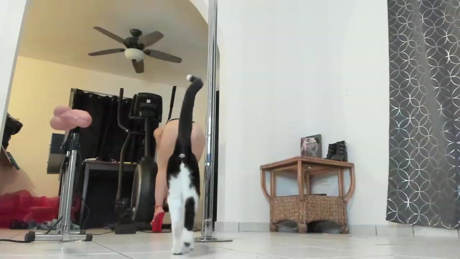 Gallery image thumbnail from HollyHanna's myfreecams stream on, 03/18/2023, 23:52 image 20 of 20