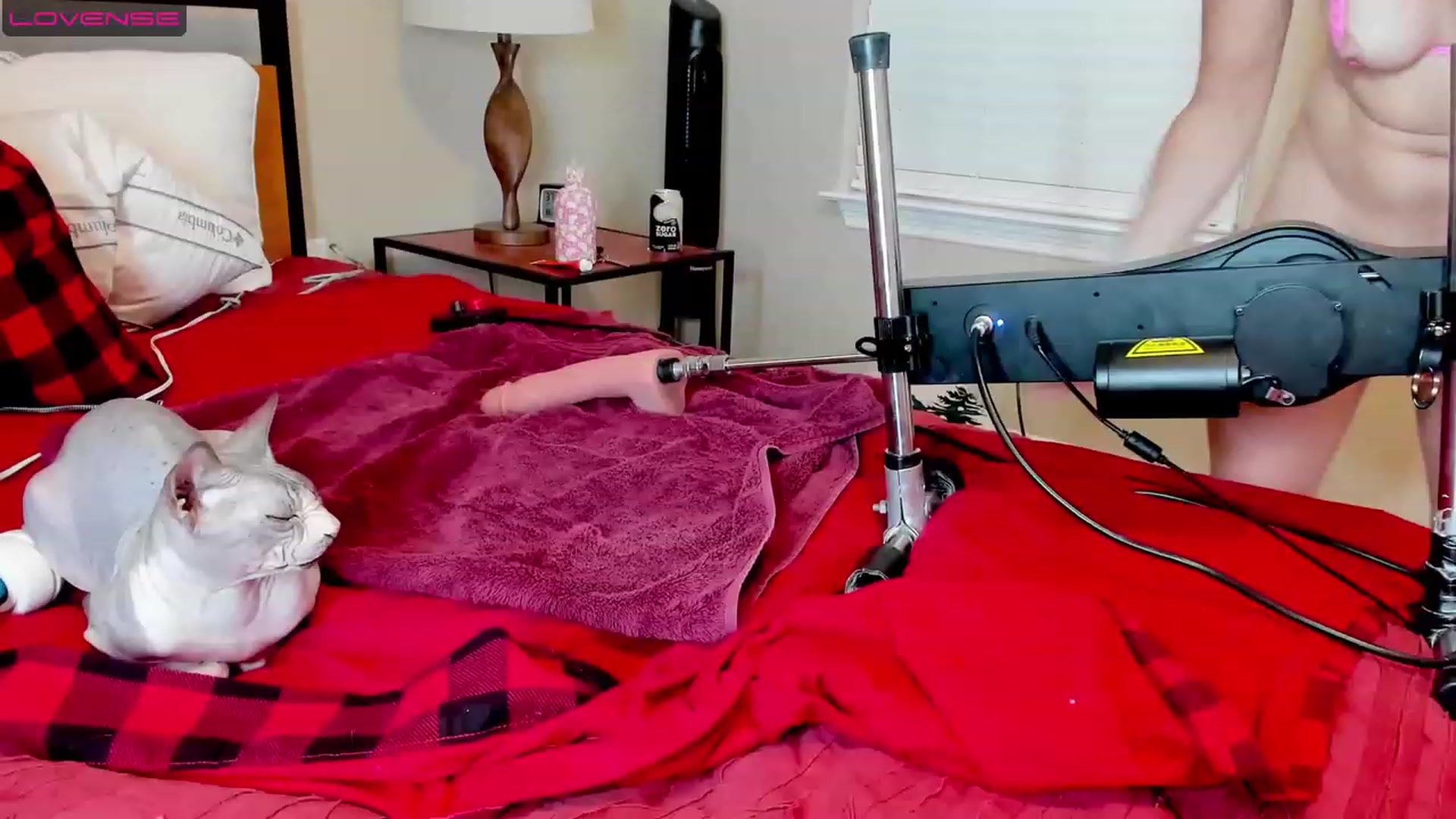 Gallery image thumbnail from HollyHanna's myfreecams stream on, 06/01/2023, 03:41 image 8 of 20