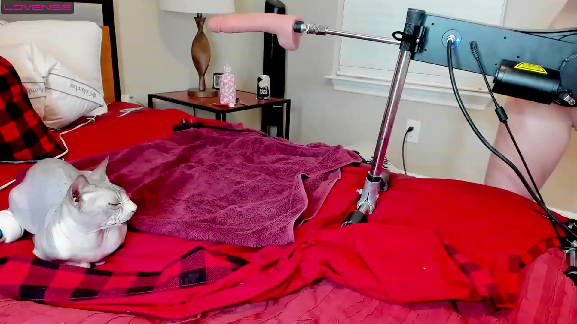 Gallery image thumbnail from HollyHanna's myfreecams stream on, 06/01/2023, 03:41 image 9 of 20