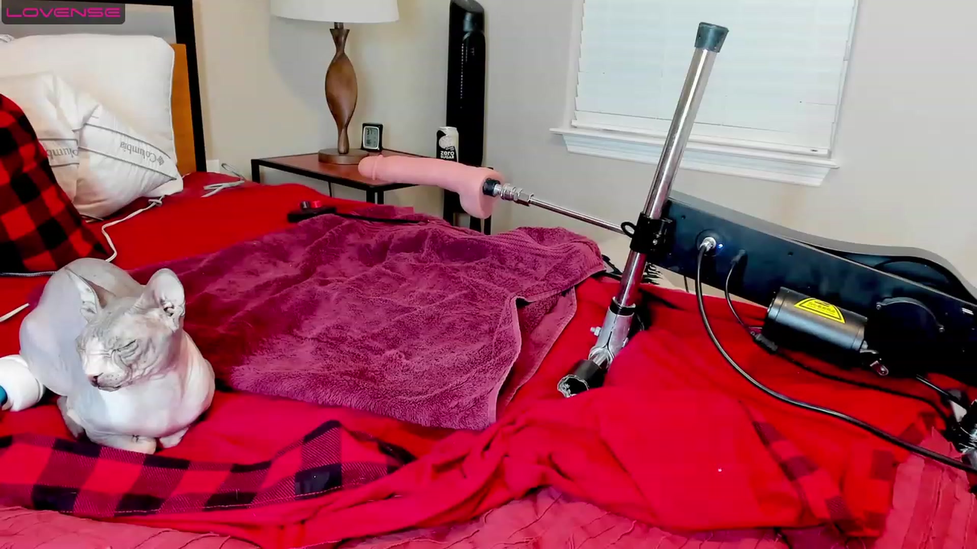 Gallery image thumbnail from HollyHanna's myfreecams stream on, 06/01/2023, 03:41 image 1 of 20