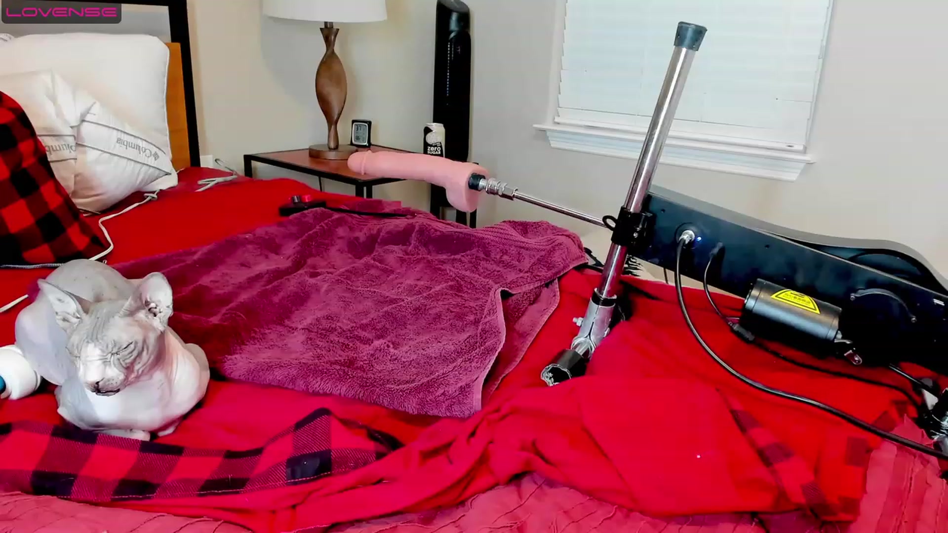Gallery image thumbnail from HollyHanna's myfreecams stream on, 06/01/2023, 03:41 image 7 of 20