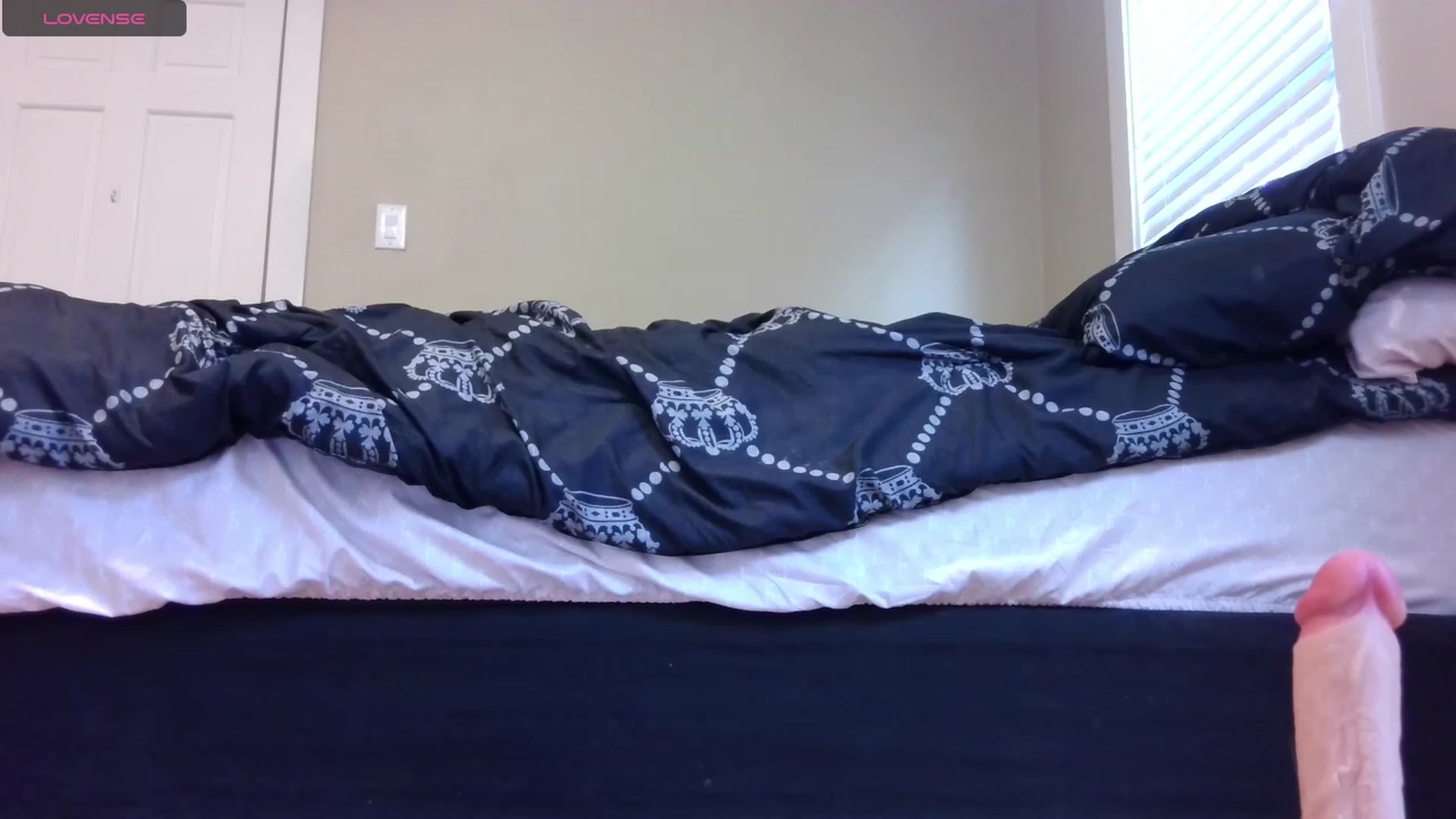 Gallery image thumbnail from HollyHanna's myfreecams stream on, 08/20/2023, 20:24 image 16 of 20