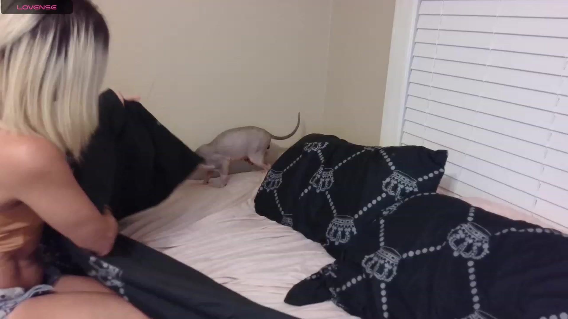 Gallery image thumbnail from HollyHanna's myfreecams stream on, 08/31/2023, 01:35 image 8 of 20