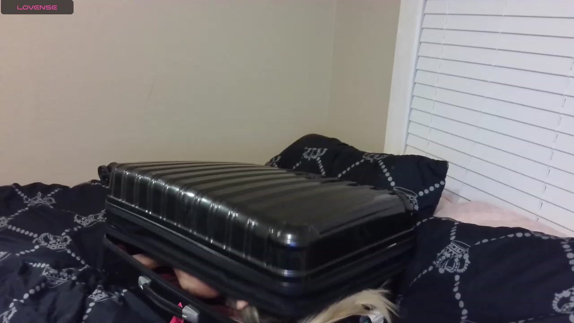 Gallery image thumbnail from HollyHanna's myfreecams stream on, 08/31/2023, 01:35 image 3 of 20